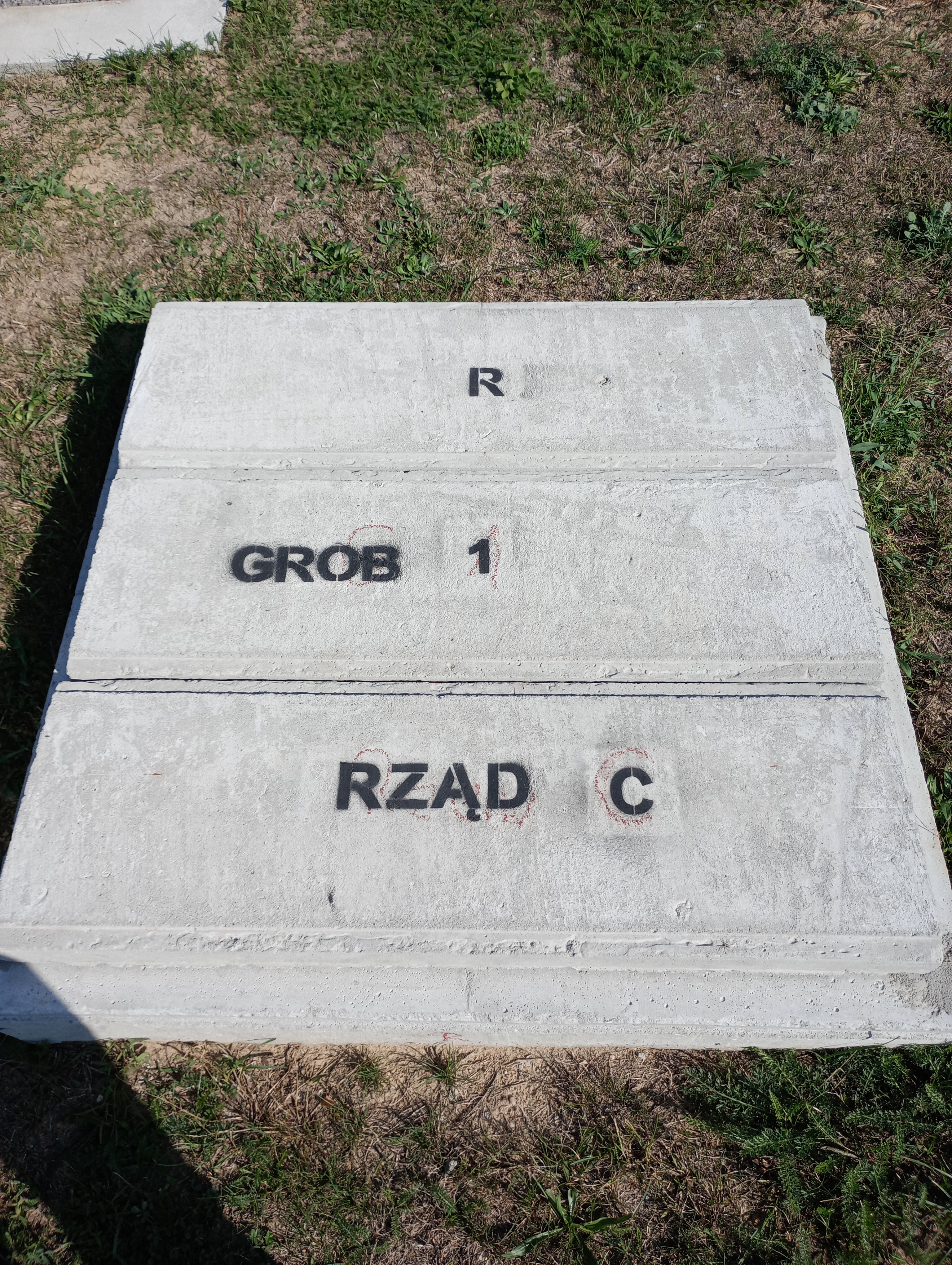 Grób Tadeusz Śmigowski 